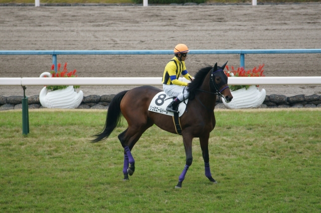 新馬戦馬場入場 リュミエールドール
