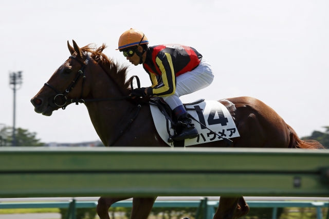 返し馬 ハウメア