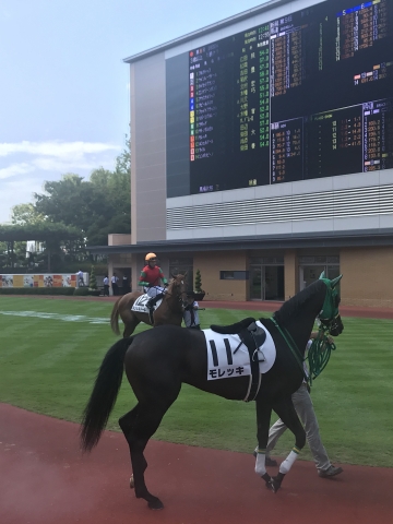 晩夏の新潟競馬場 モレッキ