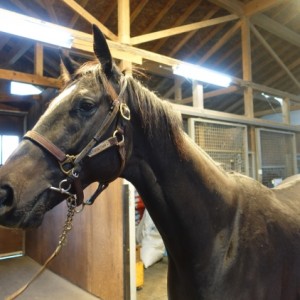 2016年11月NF空港