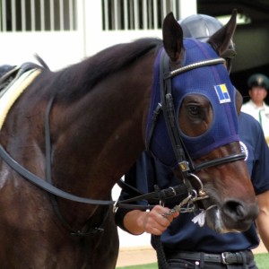 中山スーパー未勝利
