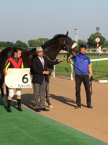 ウイナーズサークル アンティノウス