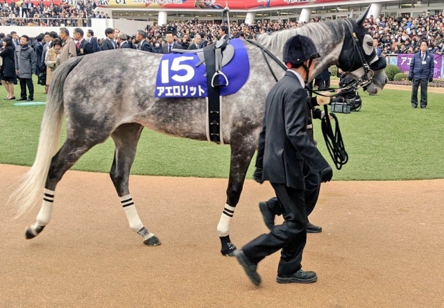 パドック アエロリット