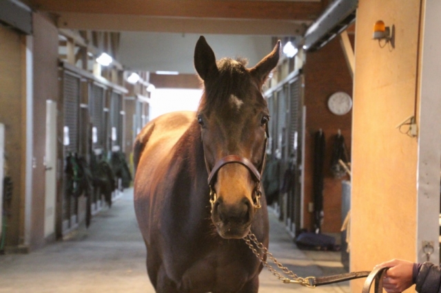 ＮＦ早来にて ブブールチャチャ