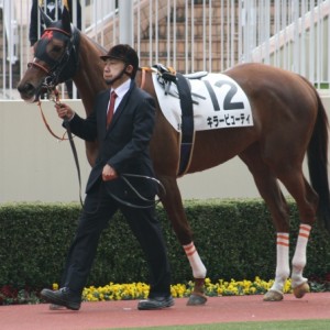 第１回小倉第８日３Ｒ３歳未勝利１２００Ｍ芝　パドック