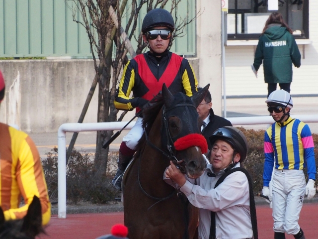 レース後 ローズシュクレ