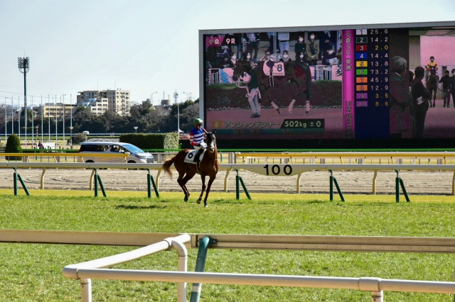 本馬場入場 ヴァンベールシチー