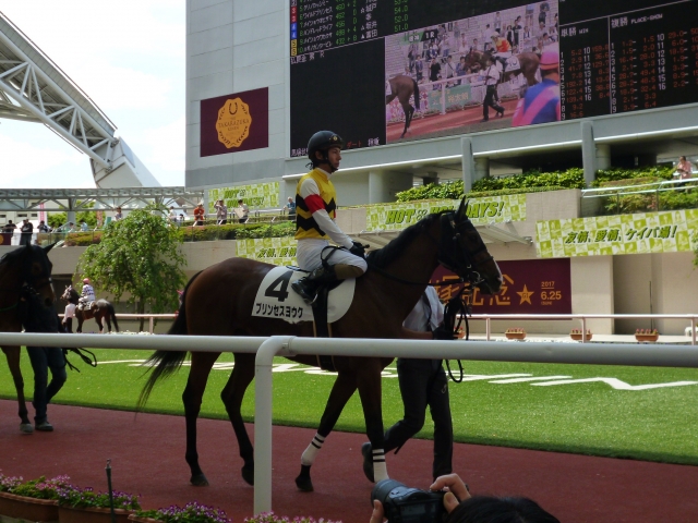 底力がたりない5着 プリンセスヨウク