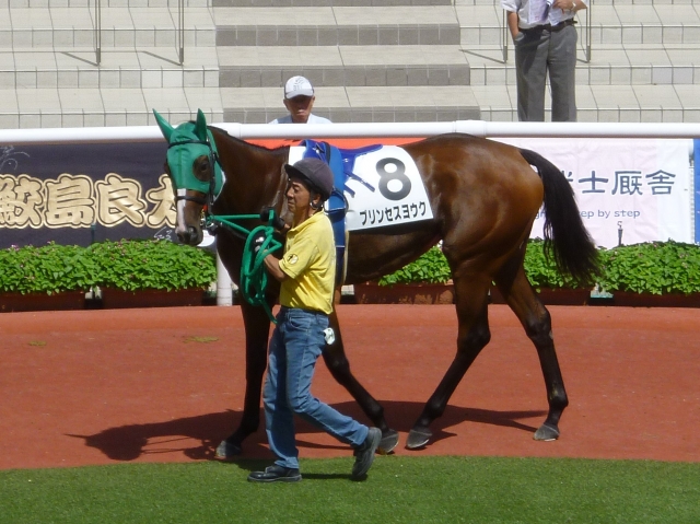 もうひと伸びたりず無念の2着 プリンセスヨウク