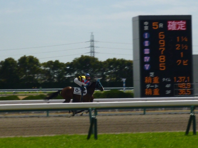 2018-03-24  中京競馬500万条件返し馬 プリンセスヨウク