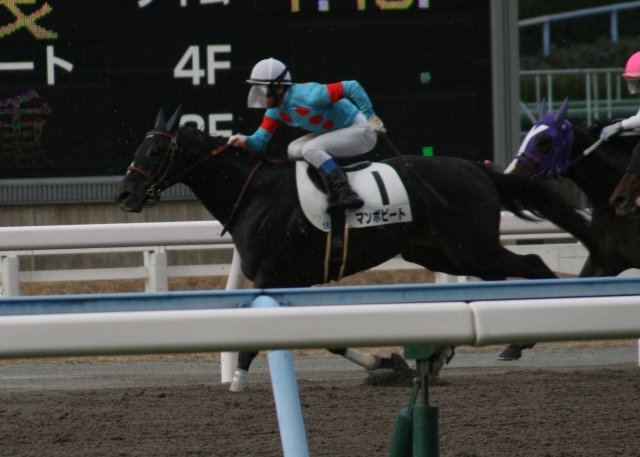 第１回小倉第２日１Ｒ３歳未勝利１２００Ｍダート　レース マンボビート