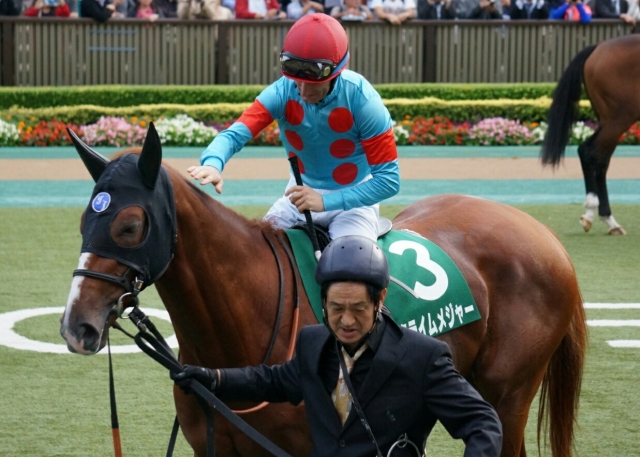 サウジアラビアRCパドック クライムメジャー
