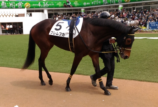 パドック クレムフカ