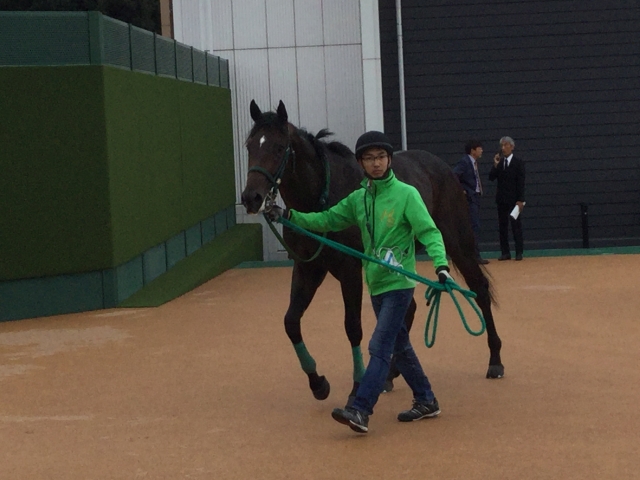 レース後 グランティエラ