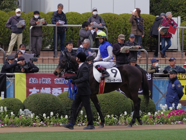 祝・新馬出走 ブルーネーベル