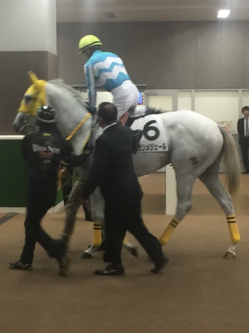大野騎手騎乗 ブランメジェール