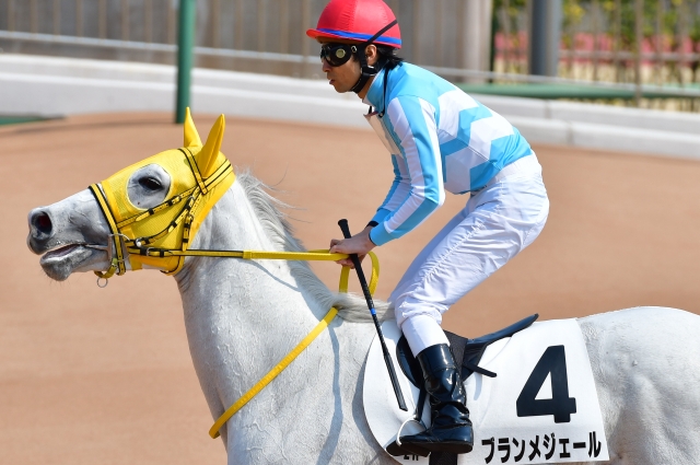 勝利 ブランメジェール