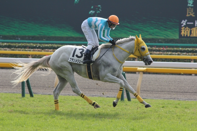 未勝利戦レース ブランメジェール