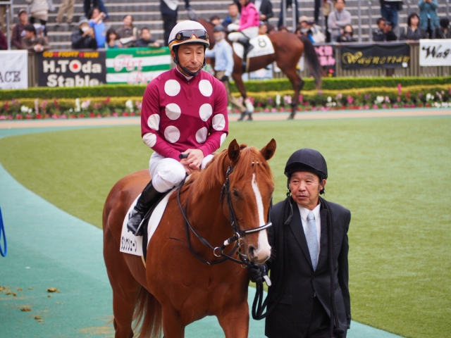 パドック ダンケシェーン