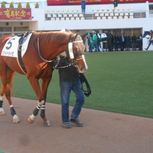 初の中山競馬場は初の掲示板へツァイトライゼ！その１