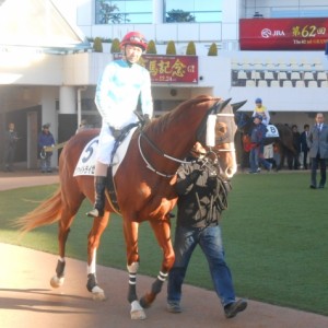 初の中山競馬場は初の掲示板へツァイトライゼ！その２