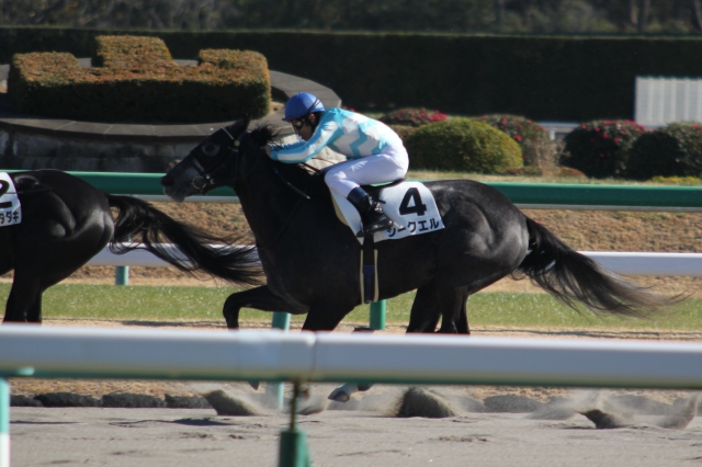 新馬戦レース シークエル