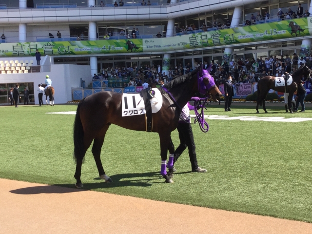 パドック クグロフ