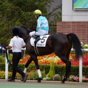 8月5日未勝利2