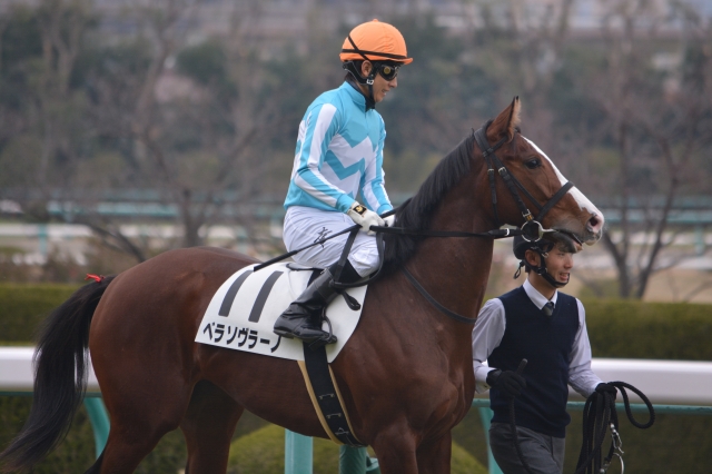 新馬戦返し馬 ベラソヴラーノ