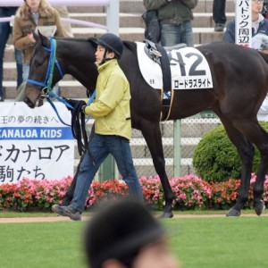 メイクデビュー戦-パドックにて