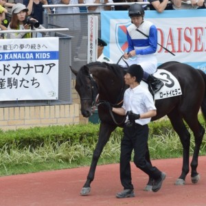 新馬戦パドックにて
