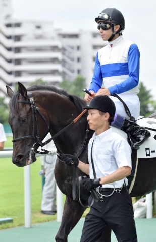 新馬戦本馬場入場 ロードイヒラニ