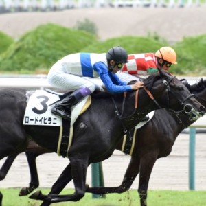 新馬戦ゴール前