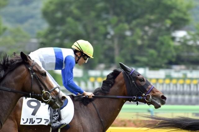 ゴール後 ソルファ