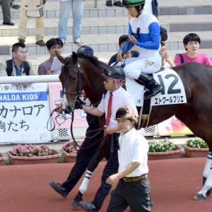 阪神未勝利戦 パドックにて応援幕と