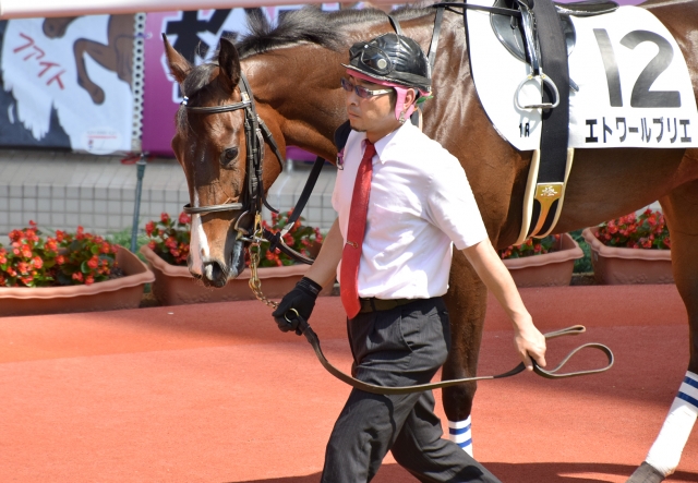 阪神未勝利戦 パドックにて エトワールブリエ