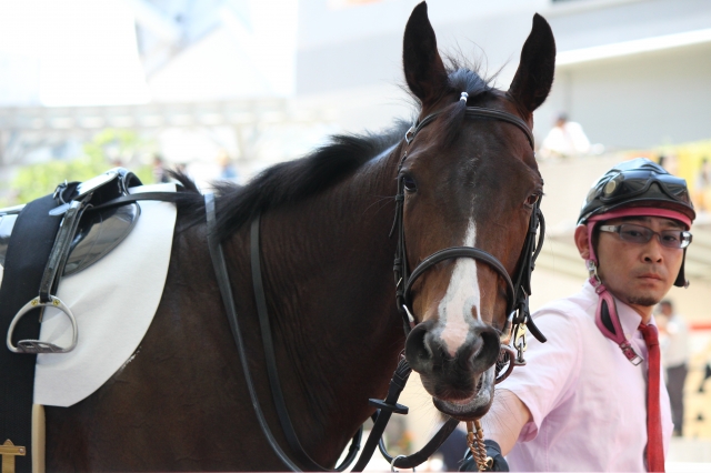 阪神競馬場パドック エトワールブリエ