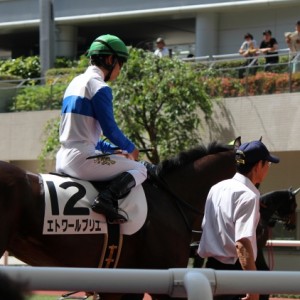 阪神競馬場パドック