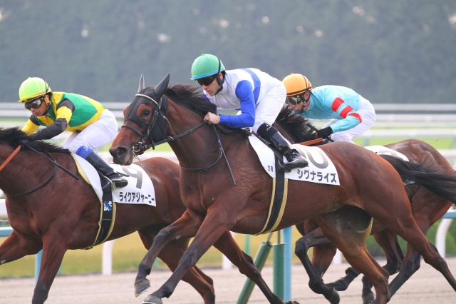 未勝利　1着 シグナライズ