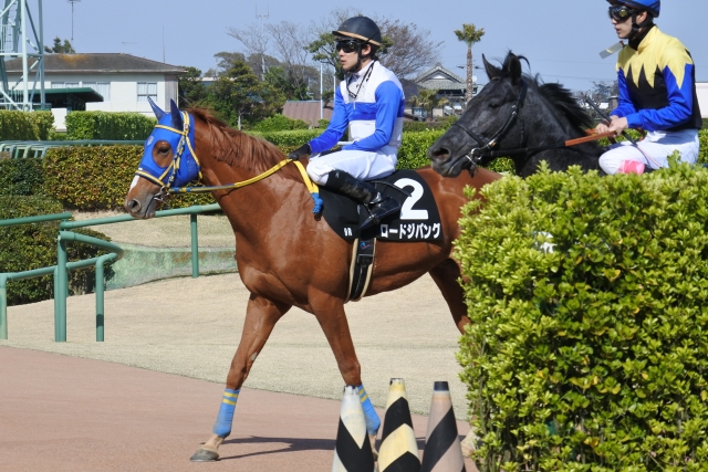 レース後 ロードジパング