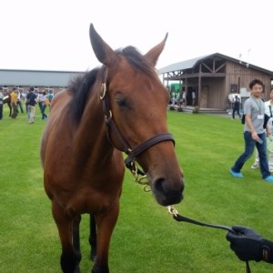 16年9月キャロットツアー②