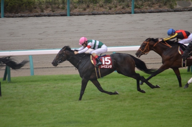 セントライト記念ゴール前 レイエンダ