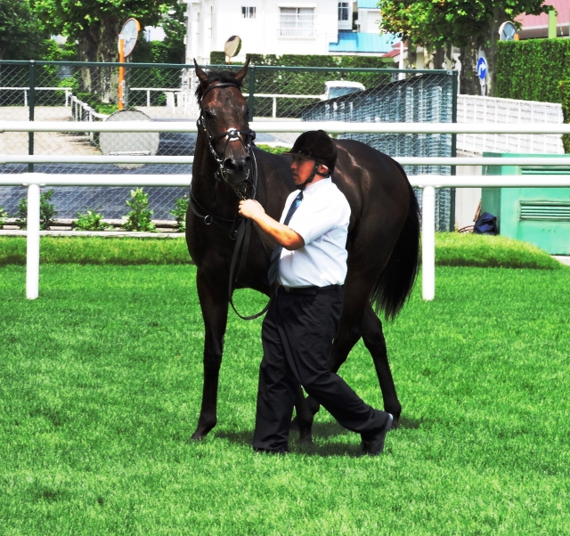 デビュー勝ち　おめでとう！ レイエンダ