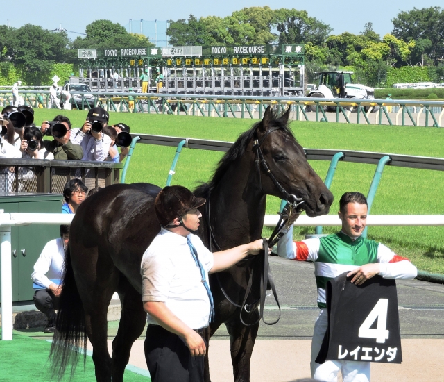 ｳｲﾅｰｽﾞｻｰｸﾙ😊 レイエンダ
