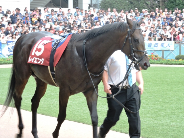 惚れ惚れ～ レイエンダ