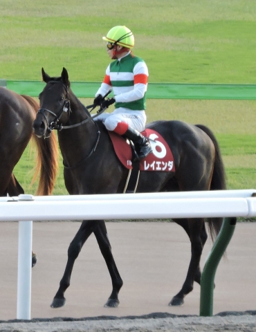 富士S🐎レース後 レイエンダ