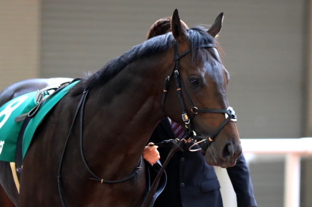 2018.12.1 阪神11R チャレンジC レイエンダ