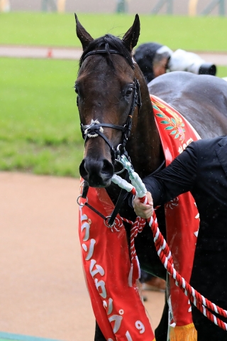 2019.6.9 東京11R エプソムカップ（G3） レイエンダ