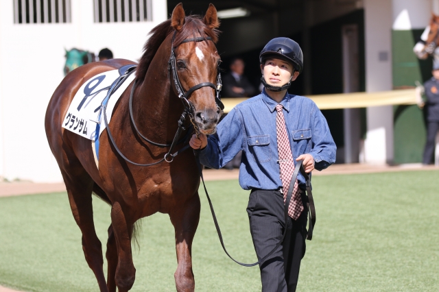 2018年3月3日　3歳未勝利戦　パドック グランサム