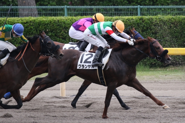 2018年5月13日　3歳未勝利戦　ゴール前 グランサム